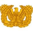 Warrant Officer's Collar Insignia (Obsolete)
