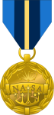Outstanding Public Leadership Medal