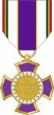 Border Patrol Purple Cross Wound Award