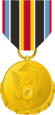 Distinguished Public Service Medal